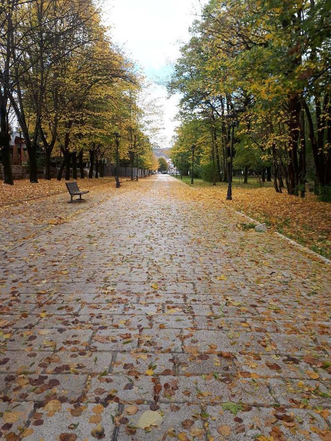 Apartman Lili Cetinje Dış mekan fotoğraf