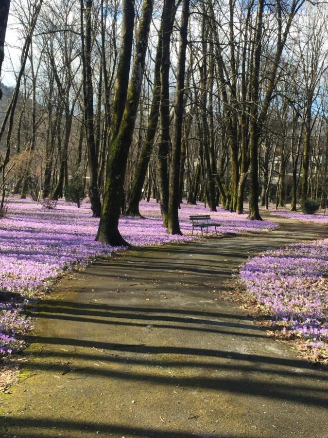 Apartman Lili Cetinje Dış mekan fotoğraf